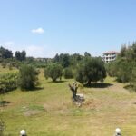 Сивири лето 2026 Грција | vila alexandros 4 scaled 1