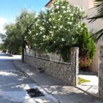 Неа Врасна лето 2026 Грција | vila holiday house nea vrasna 14 scaled 1
